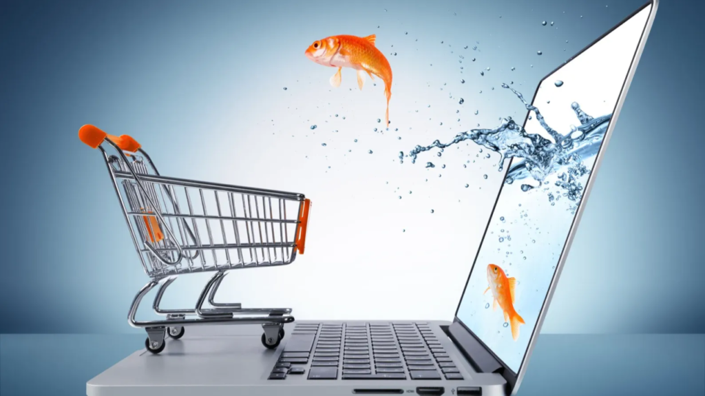 e commerce