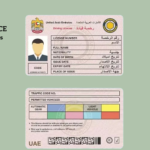 driving license renewal UAE