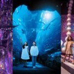 indoor attractions UAE