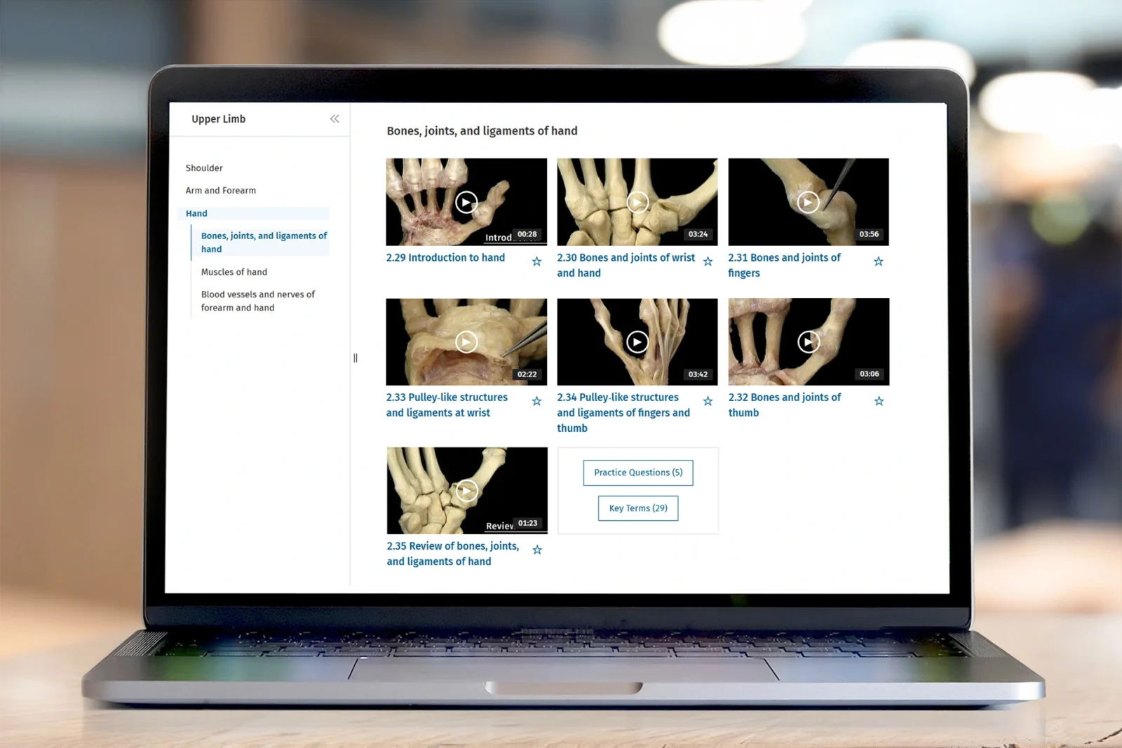 Saudi Arabia introduces instant business license renewal system
